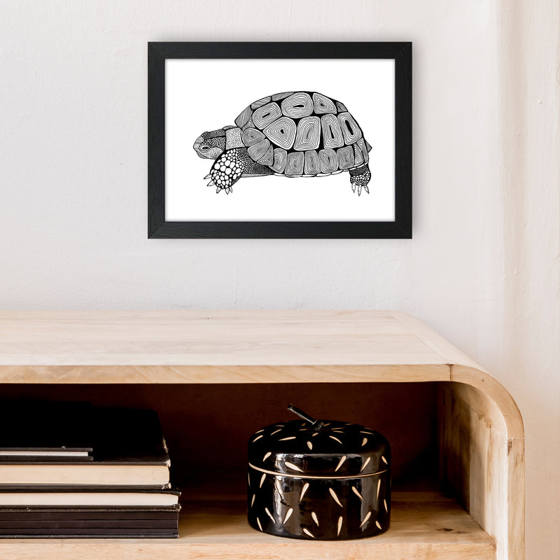Tortoise Art Print by Carissa Tanton A4 White Frame
