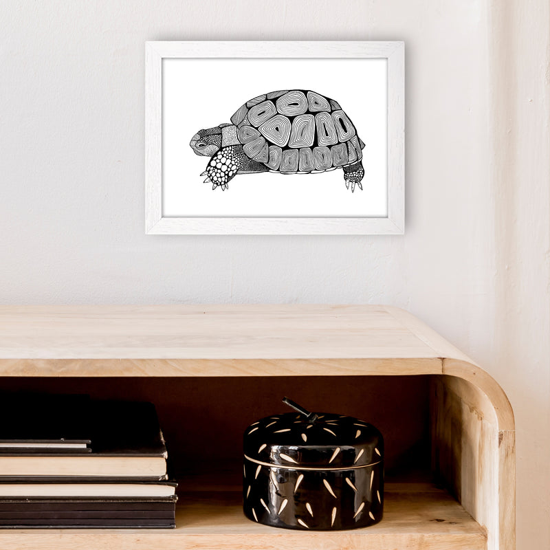 Tortoise Art Print by Carissa Tanton A4 Oak Frame
