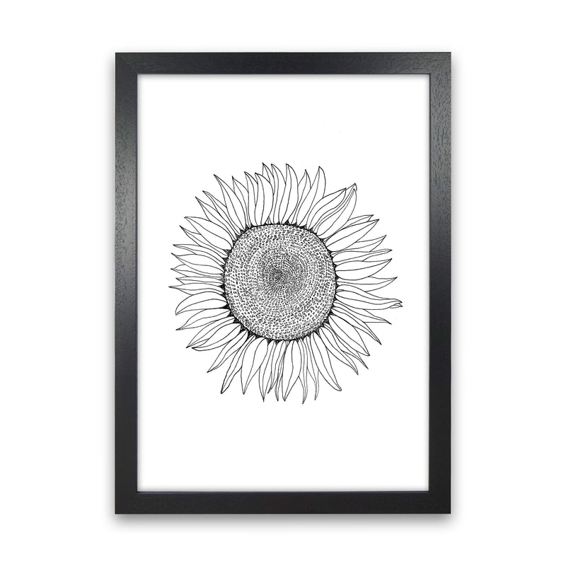 Sunflower Art Print by Carissa Tanton Black Grain