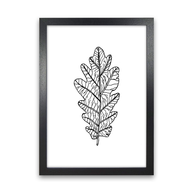 Oak Leaf Art Print by Carissa Tanton Black Grain
