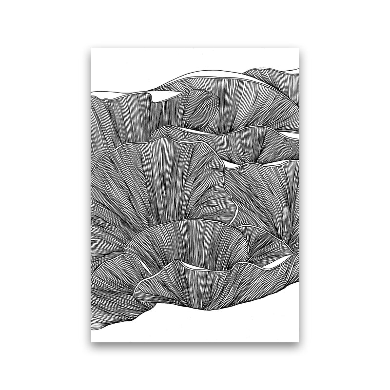 Oyster Mushrooms BW Art Print by Carissa Tanton Print Only