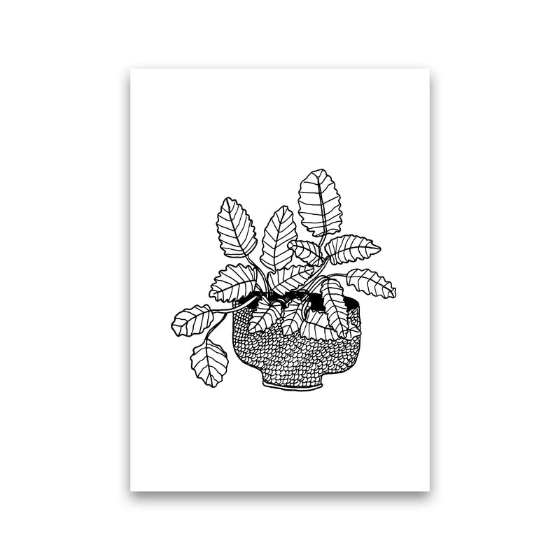 Peppermint Art Print by Carissa Tanton Print Only