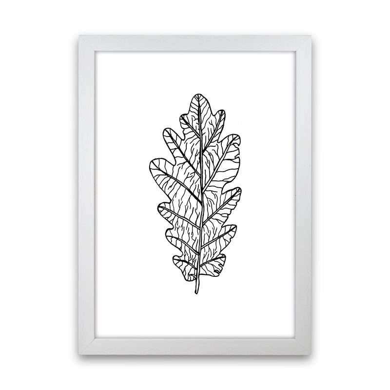 Oak Leaf Art Print by Carissa Tanton White Grain