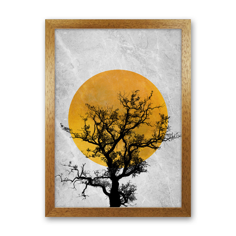 The Sunset Tree Art Print by Essentially Nomadic Oak Grain
