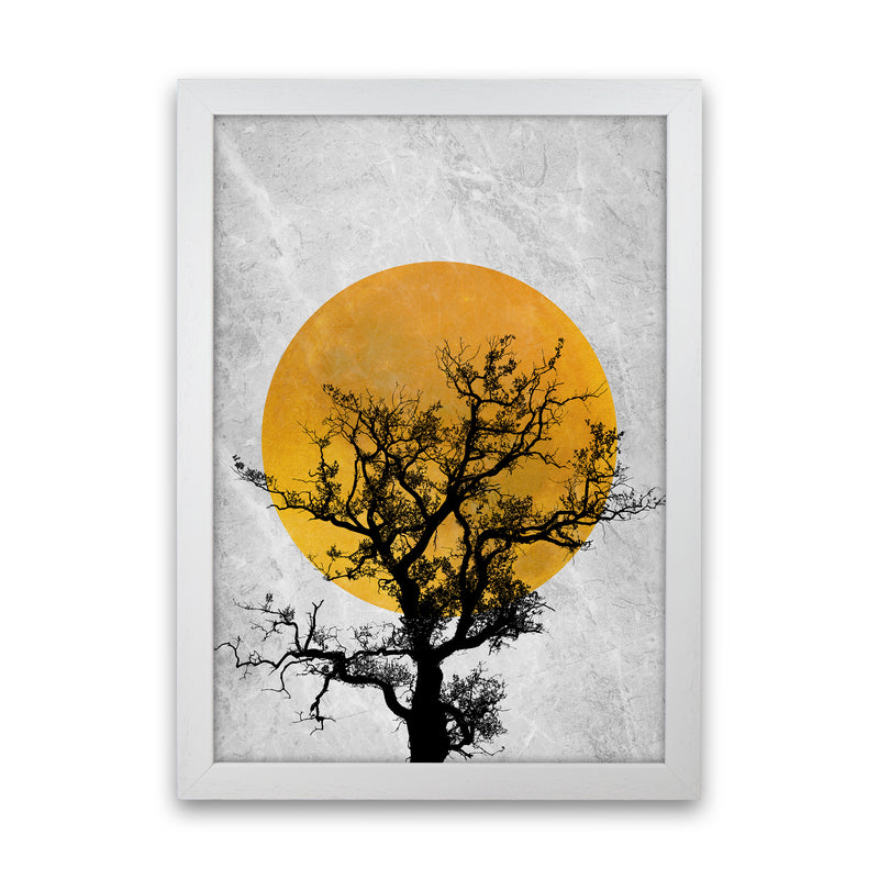 The Sunset Tree Art Print by Essentially Nomadic White Grain