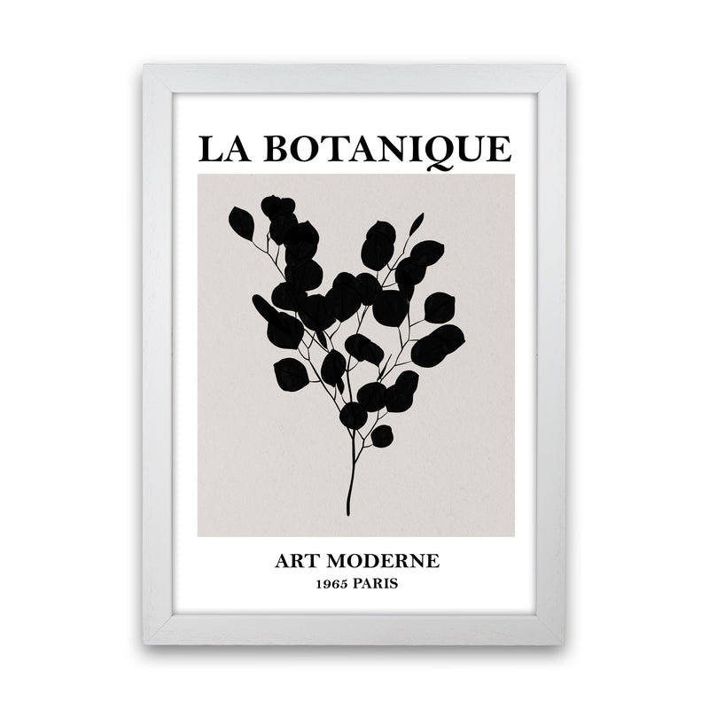 Museum La Botanique Art Print by Essentially Nomadic White Grain