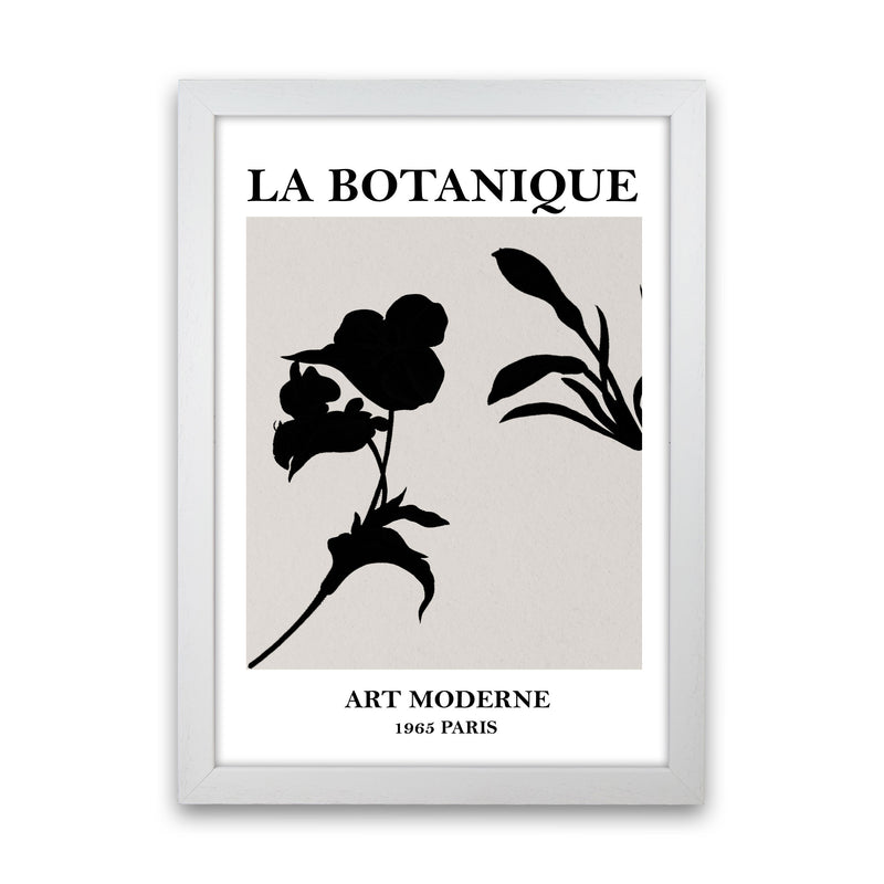 Museum La Botanique2A Art Print by Essentially Nomadic White Grain