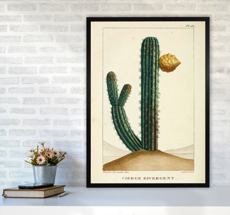 Vintage Cactus Art Print by Jason Stanley A1 White Frame