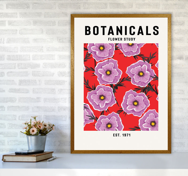 Botanicals Flower Study Art Print by Jason Stanley A1 Print Only