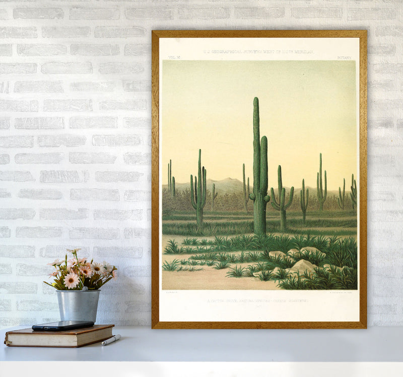 Vintage Desert Cactus Art Print by Jason Stanley A1 Print Only