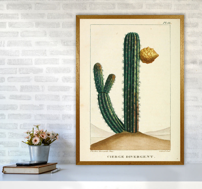 Vintage Cactus Art Print by Jason Stanley A1 Print Only
