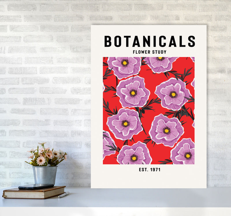 Botanicals Flower Study Art Print by Jason Stanley A1 Black Frame