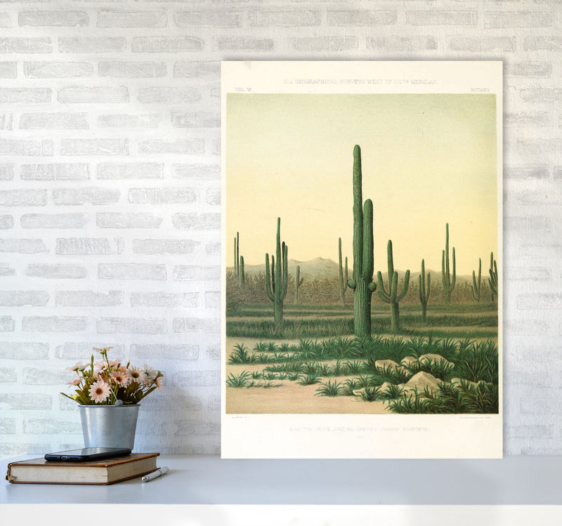 Vintage Desert Cactus Art Print by Jason Stanley A1 Black Frame
