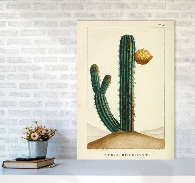 Vintage Cactus Art Print by Jason Stanley A1 Black Frame