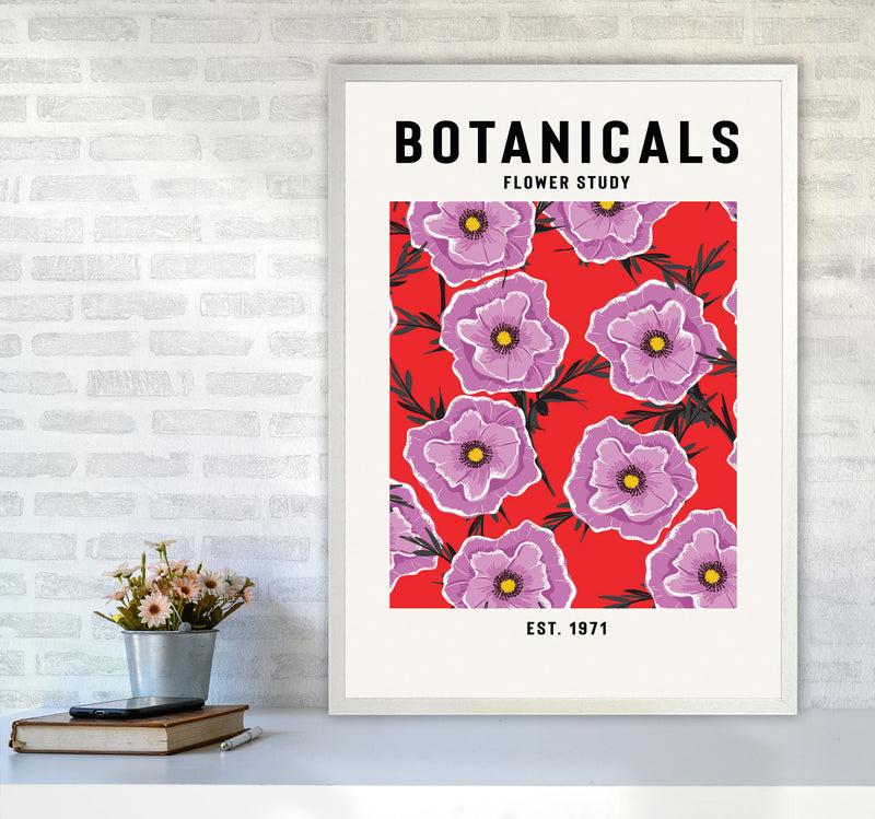 Botanicals Flower Study Art Print by Jason Stanley A1 Oak Frame