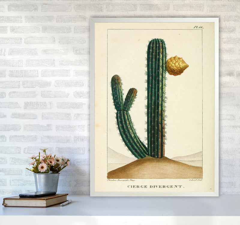 Vintage Cactus Art Print by Jason Stanley A1 Oak Frame