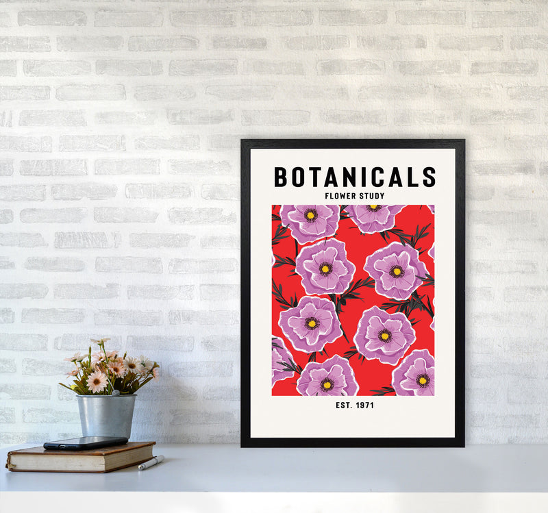 Botanicals Flower Study Art Print by Jason Stanley A2 White Frame