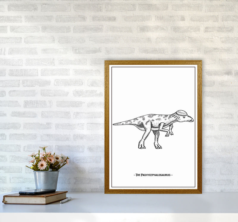 The Pachycephalosaurus Art Print by Jason Stanley A2 Print Only