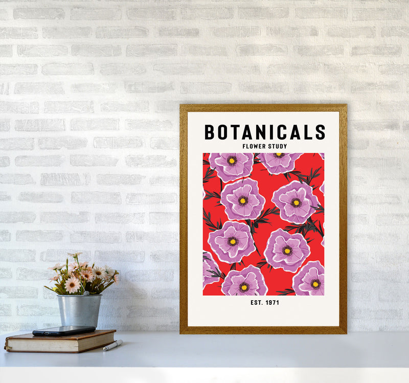 Botanicals Flower Study Art Print by Jason Stanley A2 Print Only