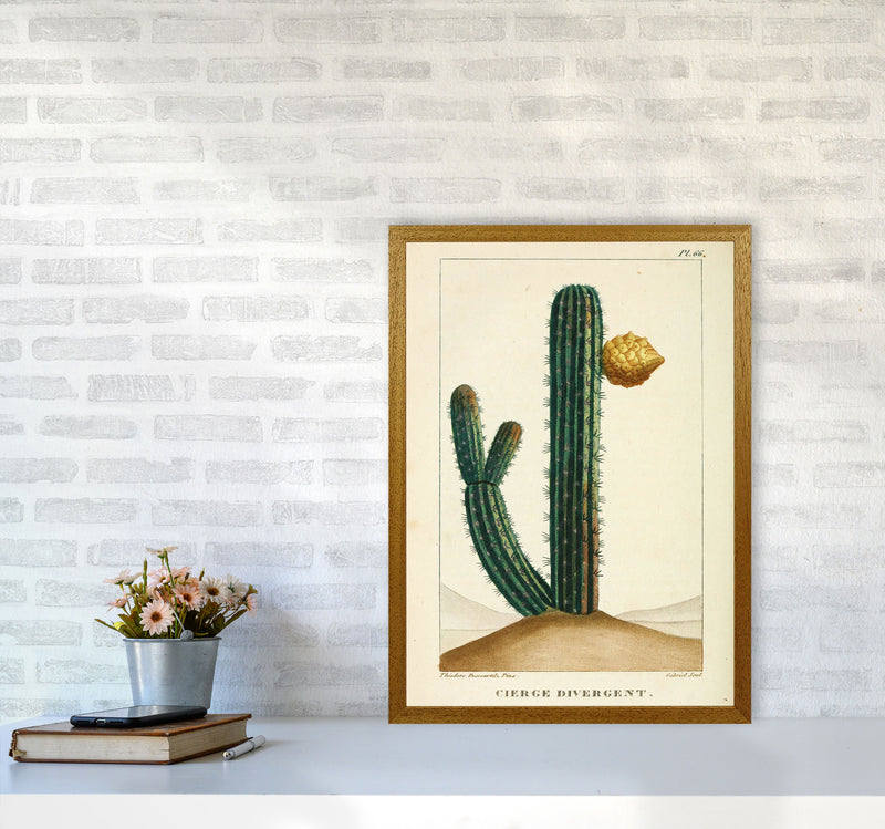 Vintage Cactus Art Print by Jason Stanley A2 Print Only