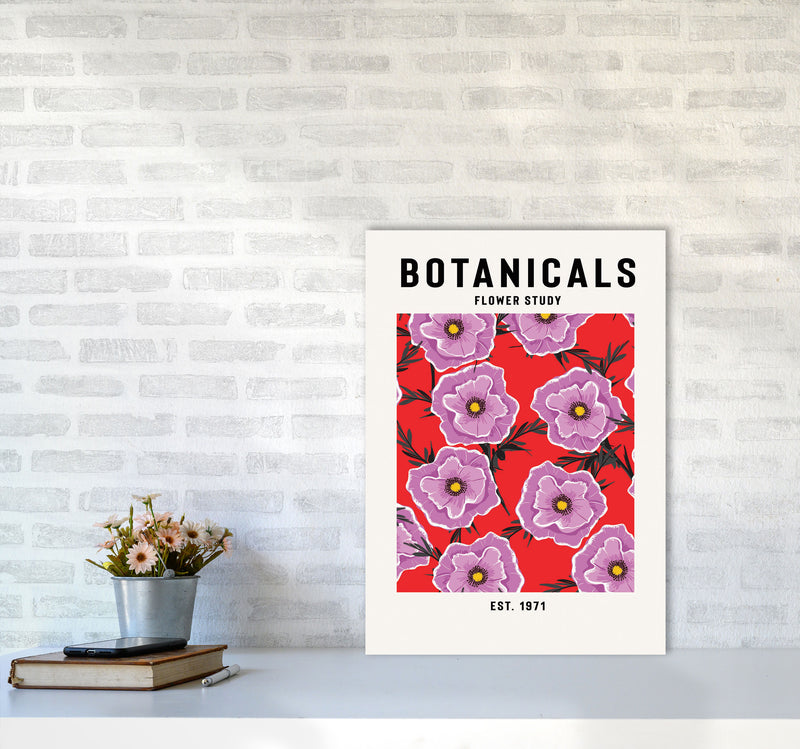 Botanicals Flower Study Art Print by Jason Stanley A2 Black Frame