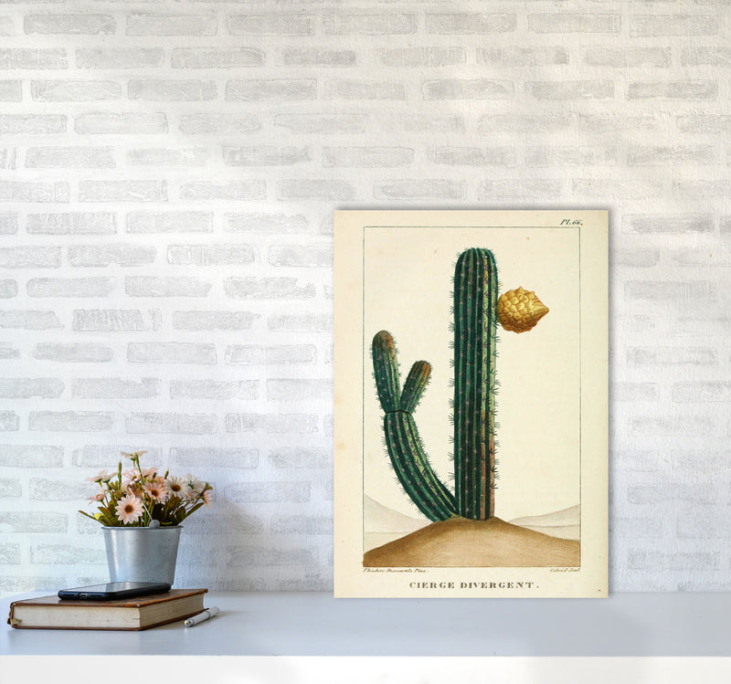 Vintage Cactus Art Print by Jason Stanley A2 Black Frame
