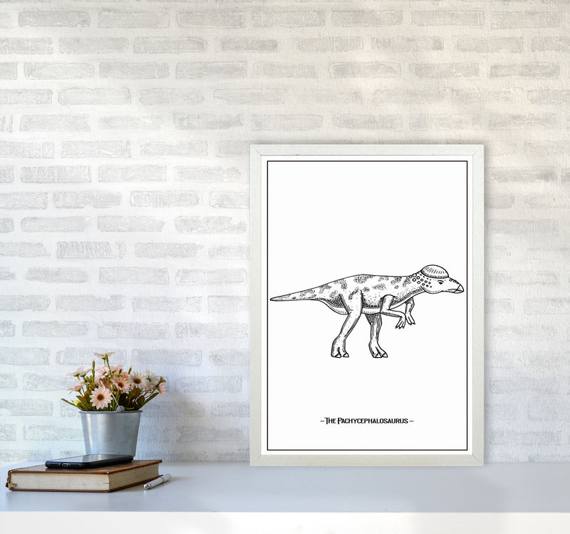 The Pachycephalosaurus Art Print by Jason Stanley A2 Oak Frame