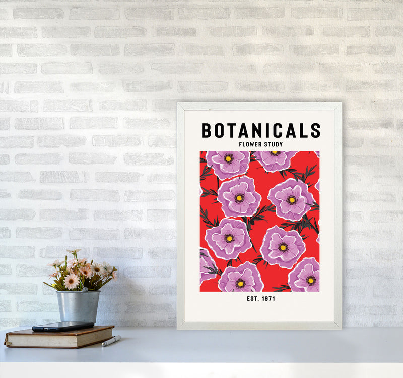 Botanicals Flower Study Art Print by Jason Stanley A2 Oak Frame