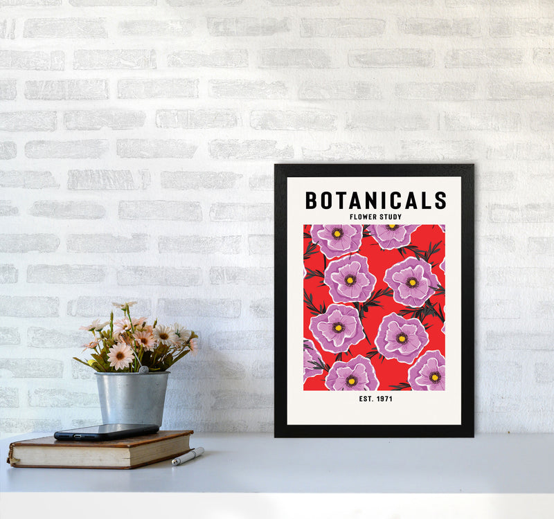 Botanicals Flower Study Art Print by Jason Stanley A3 White Frame