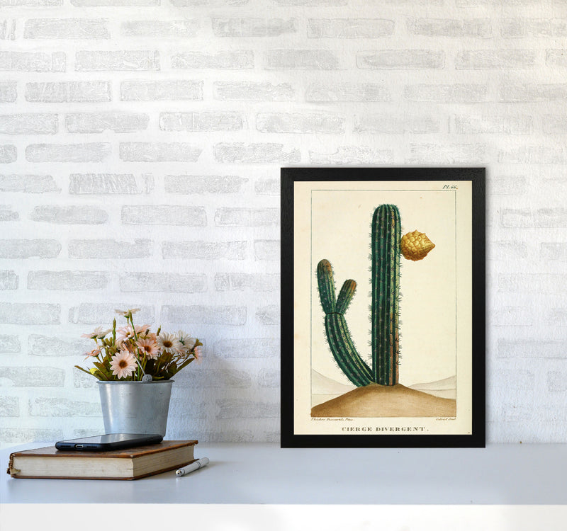 Vintage Cactus Art Print by Jason Stanley A3 White Frame