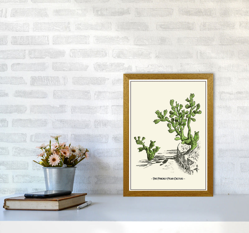 The Prickly Pear Cactus Art Print by Jason Stanley A3 Print Only