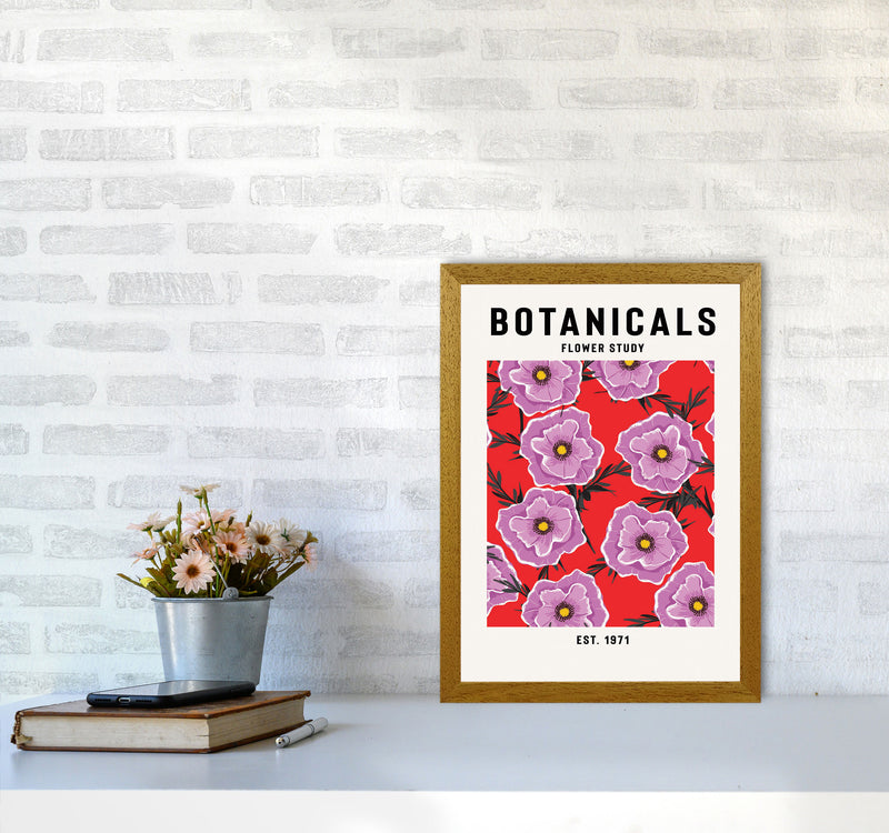 Botanicals Flower Study Art Print by Jason Stanley A3 Print Only