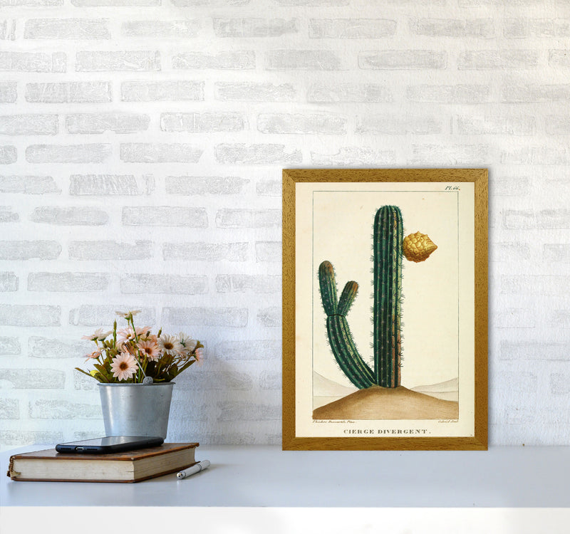 Vintage Cactus Art Print by Jason Stanley A3 Print Only
