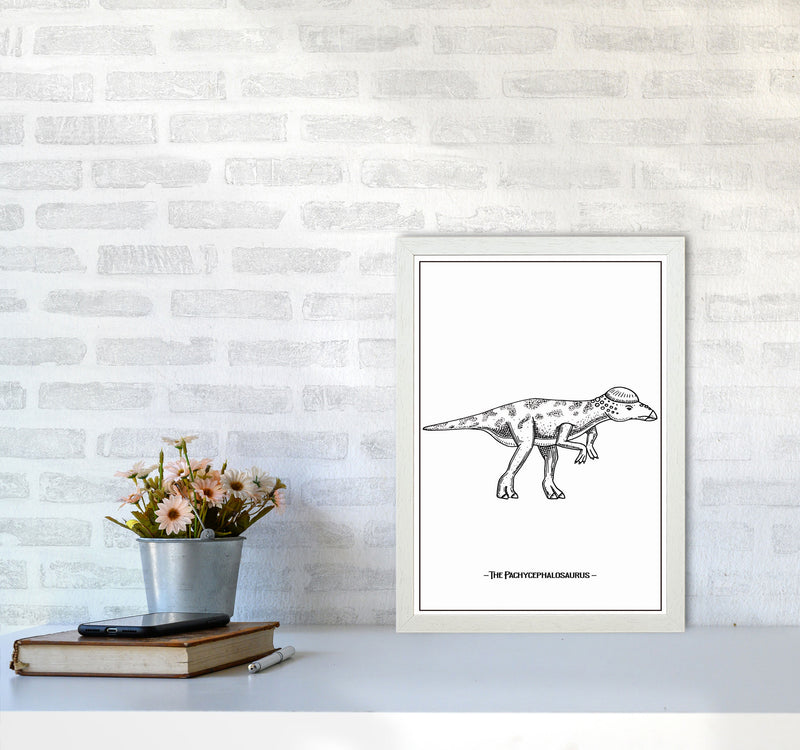 The Pachycephalosaurus Art Print by Jason Stanley A3 Oak Frame