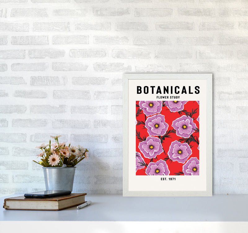 Botanicals Flower Study Art Print by Jason Stanley A3 Oak Frame
