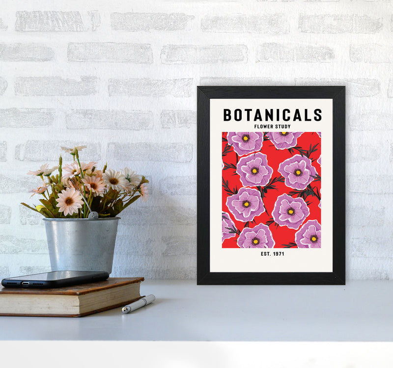 Botanicals Flower Study Art Print by Jason Stanley A4 White Frame