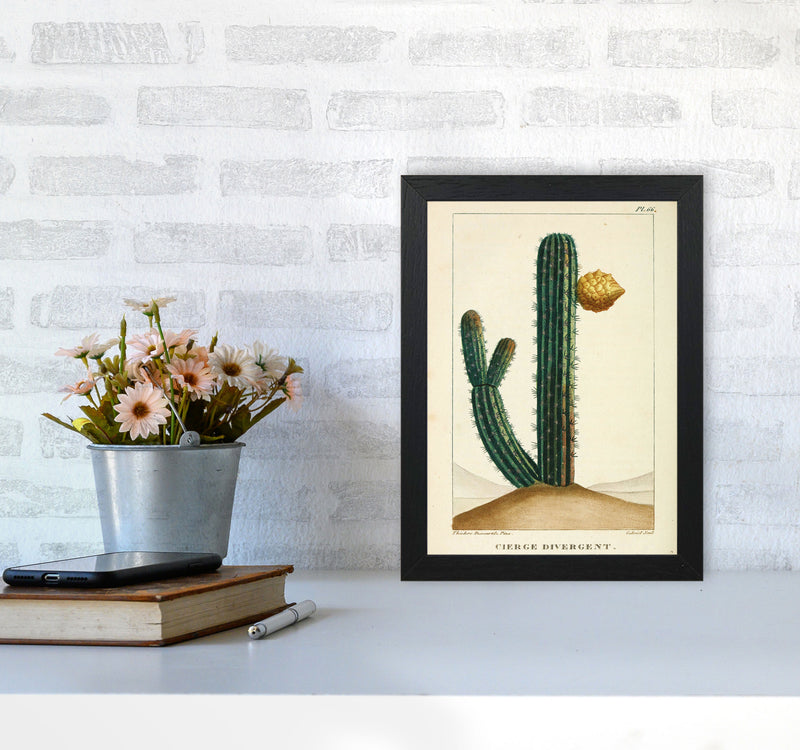 Vintage Cactus Art Print by Jason Stanley A4 White Frame