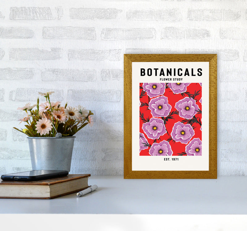 Botanicals Flower Study Art Print by Jason Stanley A4 Print Only