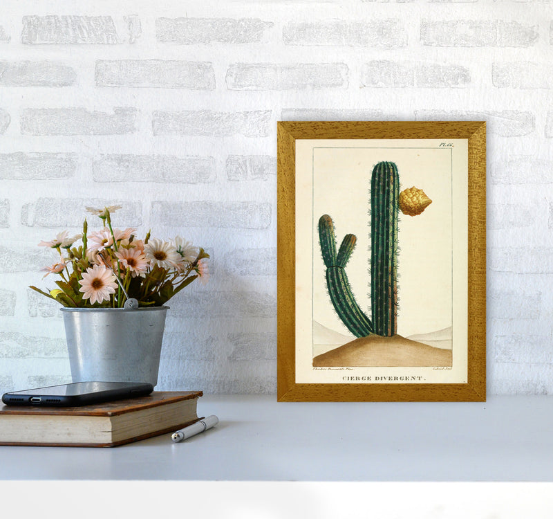 Vintage Cactus Art Print by Jason Stanley A4 Print Only