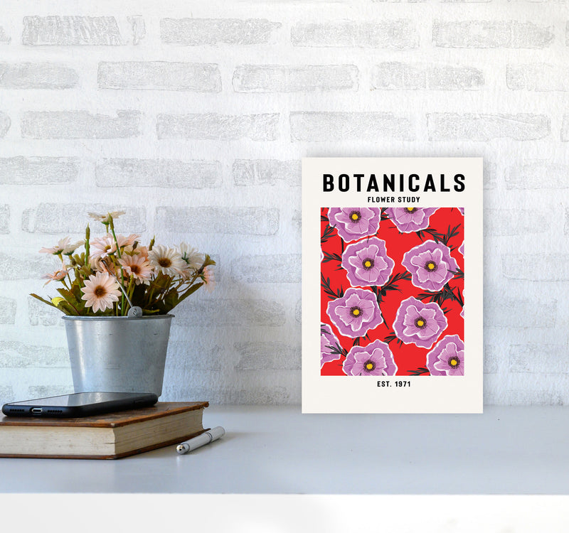 Botanicals Flower Study Art Print by Jason Stanley A4 Black Frame