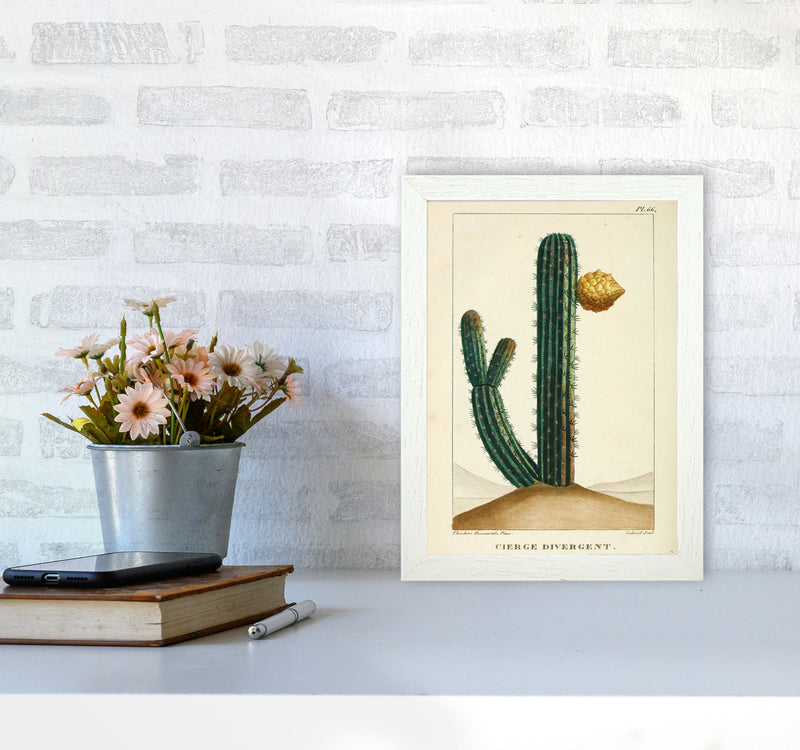 Vintage Cactus Art Print by Jason Stanley A4 Oak Frame