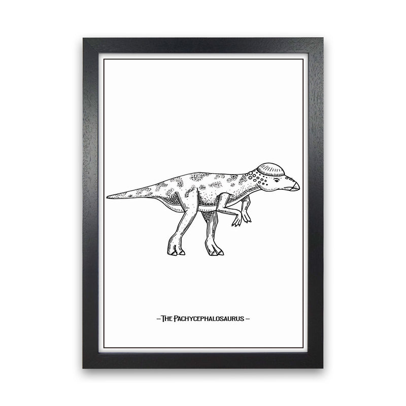 The Pachycephalosaurus Art Print by Jason Stanley Black Grain