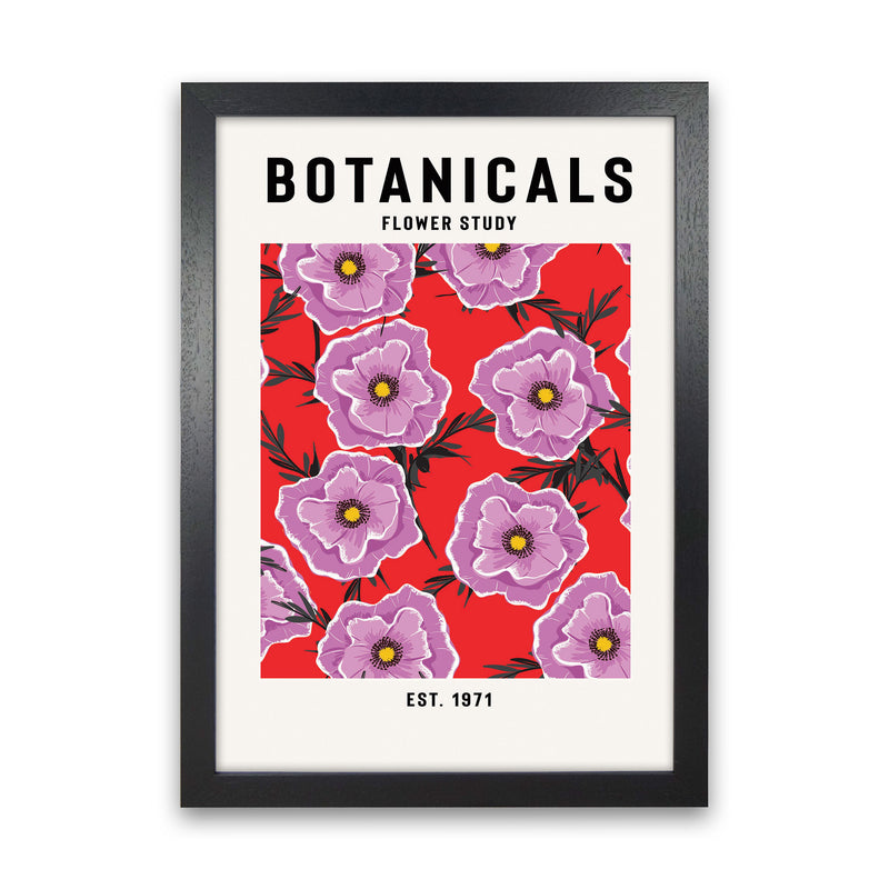 Botanicals Flower Study Art Print by Jason Stanley Black Grain