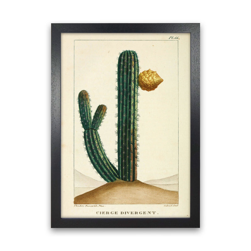 Vintage Cactus Art Print by Jason Stanley Black Grain