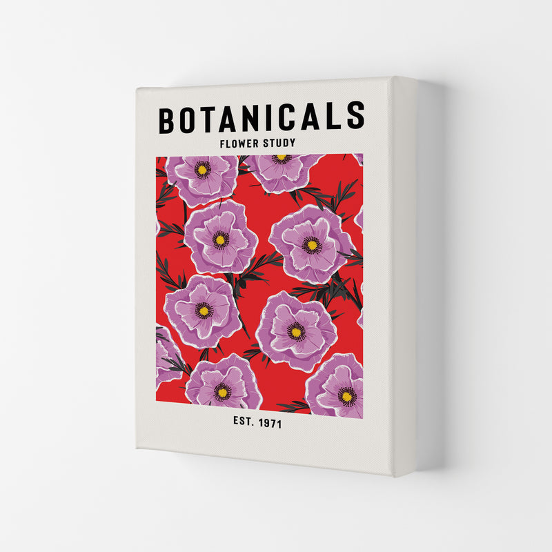 Botanicals Flower Study Art Print by Jason Stanley Canvas
