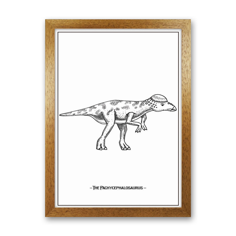 The Pachycephalosaurus Art Print by Jason Stanley Oak Grain