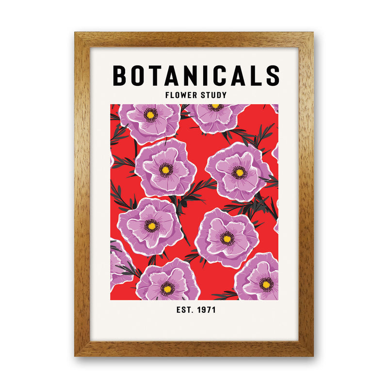 Botanicals Flower Study Art Print by Jason Stanley Oak Grain