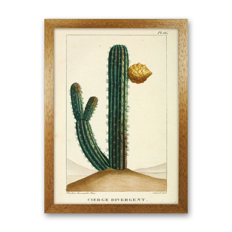Vintage Cactus Art Print by Jason Stanley Oak Grain