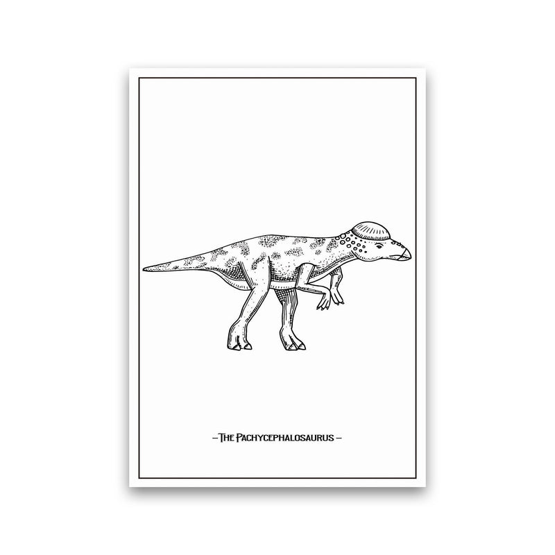 The Pachycephalosaurus Art Print by Jason Stanley Print Only