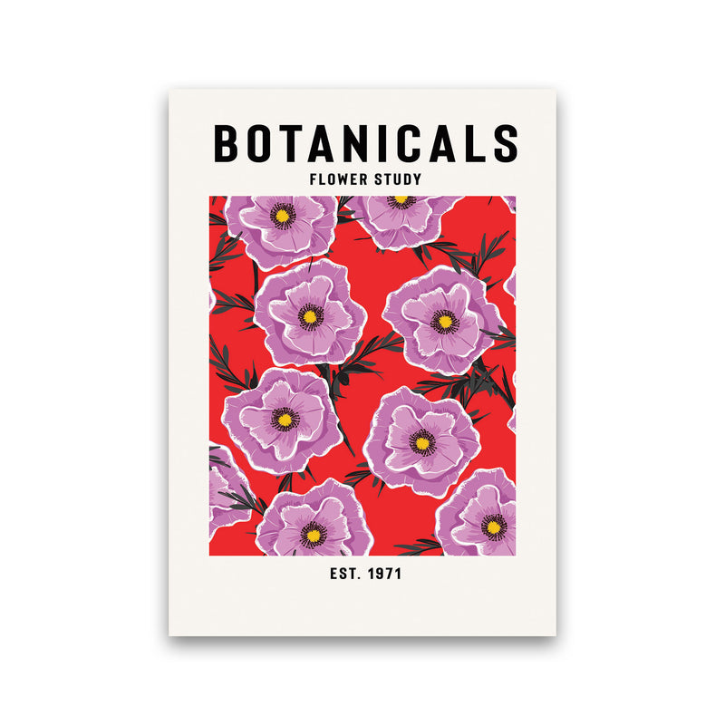 Botanicals Flower Study Art Print by Jason Stanley Print Only